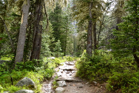 Grand Teton National Park photo