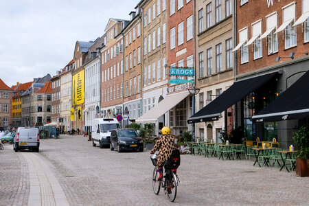 Cyclist Dressed in Animal Print on Copenhagen Street photo