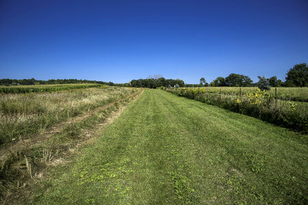 Path at the Yahara segment of Cherokee Marsh