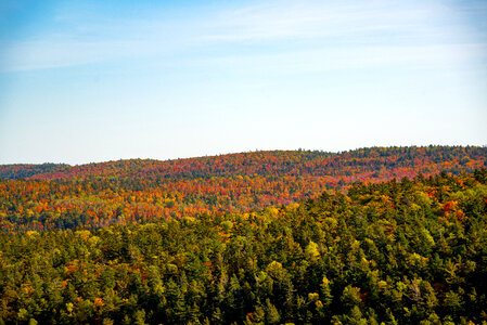 Sky and forest landscape in Autumn photo