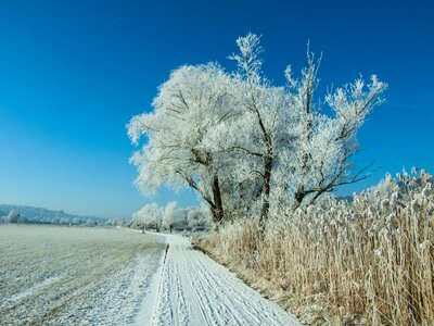Cold countryside frost