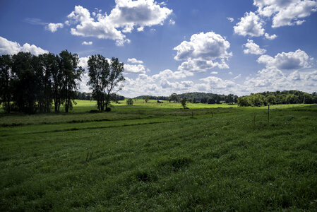 Green grass landscape at Indian Lake County Park
