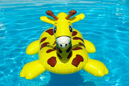 Buoy swimming pool giraffe