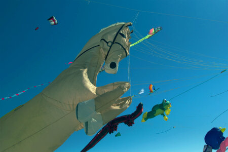 9 Dubai kite fest