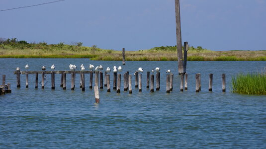 Tangier Island Virginia photo