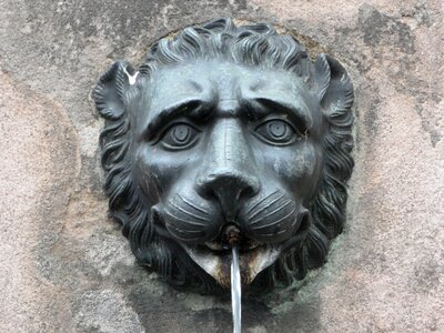 Lion head head water jet photo