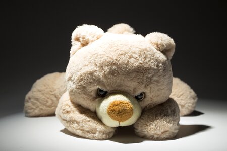 Teddy bear plush gifts