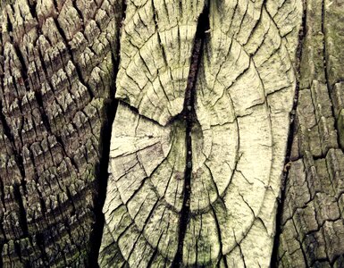 Like log grain