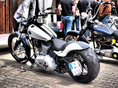 Harley harley davidson motorcycle photo