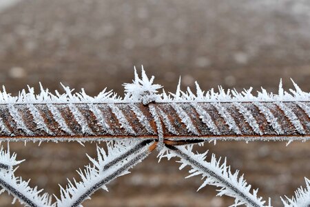 Barbed Wire cast iron fence