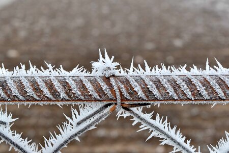 Barbed Wire cast iron fence photo