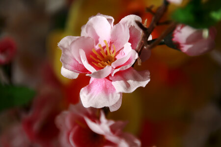 Artificial Flower