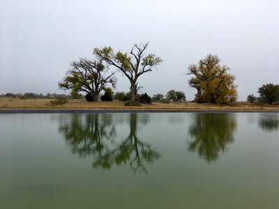 Fish pond and aquatic culture with reflections photo