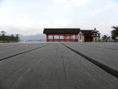 Japan miyajima orange