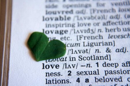 Love Heart On Dictionary