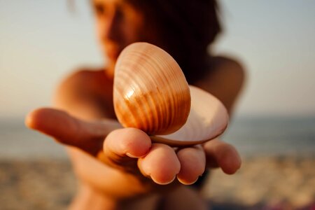 Seashell gorgeous pretty girl photo