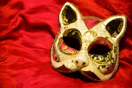 Costume detail disguise