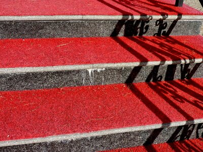 Carpet red red carpet photo