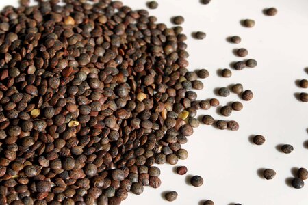 Beans food drink