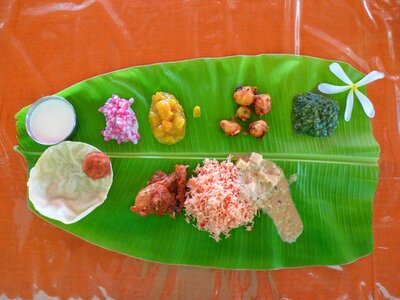 Indian cuisine rice south india photo