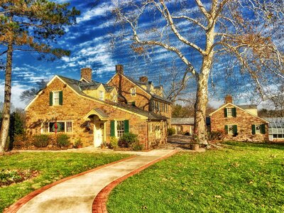 Autumn trees architecture