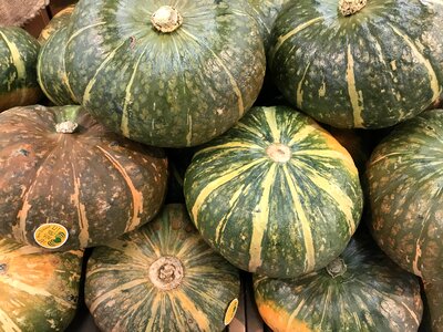 Close up of ripe raw pumpkins