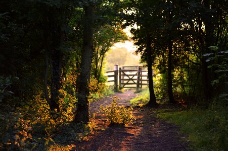 Sunshine shadow landscape photo