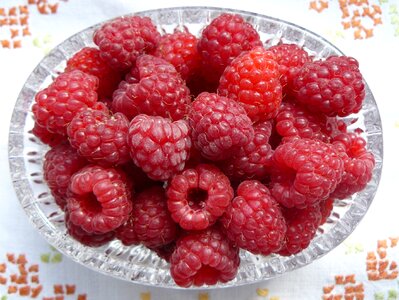 Berries red vitamins photo