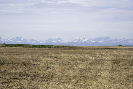Mountains in the Distance across the field in Alberta
