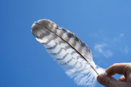 Blue Sky feather hand