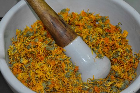 Herb spice cooking photo