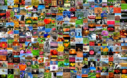 Photo album mosaic collage