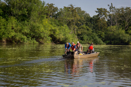 Alligator gar-1 photo