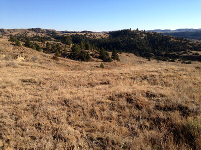 Land at Charles M. Russell National Wildlife Refuge photo