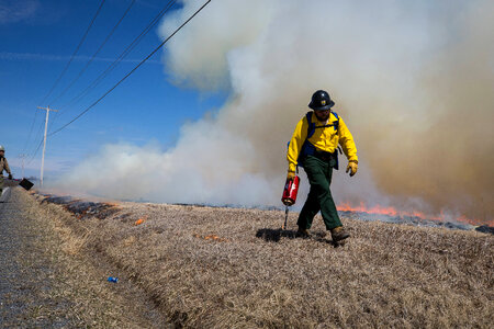 Fireman lighting fire in grassland
