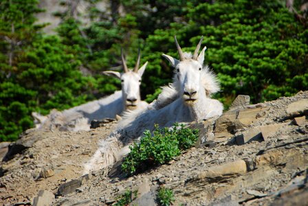 Hike mountain alpine