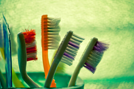 Toothbrushes In Stand photo