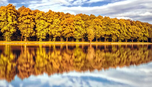 Autumn forest lake photo