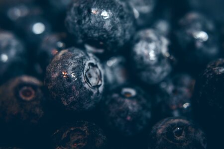 Blueberry Fruit Closeup photo
