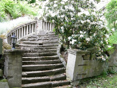 Dilapidated mysterious ailing