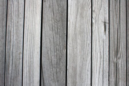 Monochrome wood hardwood