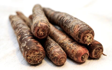 Carrot food root