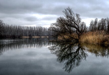 Nature slovakia evening