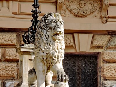 Lion architecture sculpture photo