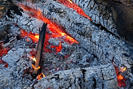 Ember fire glowing logs photo