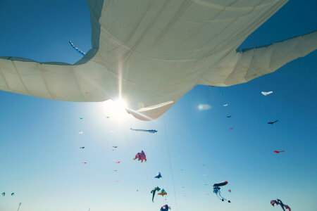7 Dubai kite fest photo