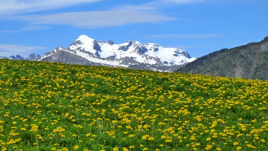 Alps hiking spring