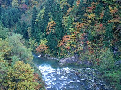 Autumn landscape. Composition of nature. mountain river photo