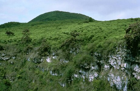 Greenery hill 