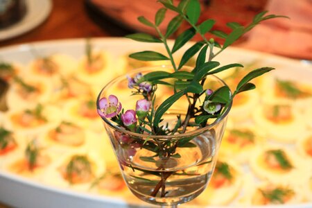 Dill vase cherry blossom